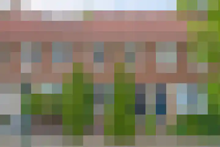 Wijnruit 13 Cuijk