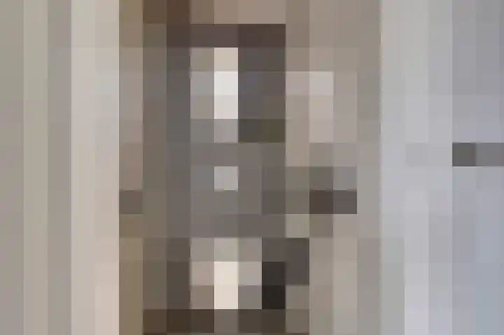 Wijnruitstraat 5 Wierden thumbnail 10