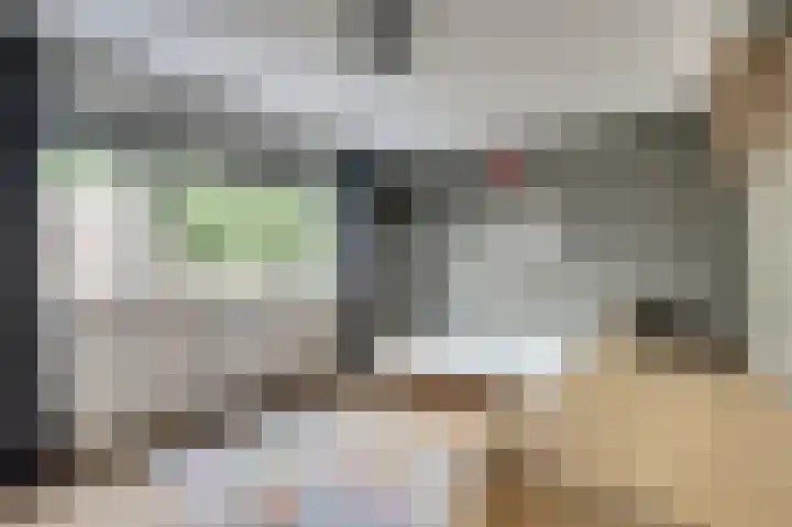 Wijnruitstraat 5 Wierden thumbnail 13