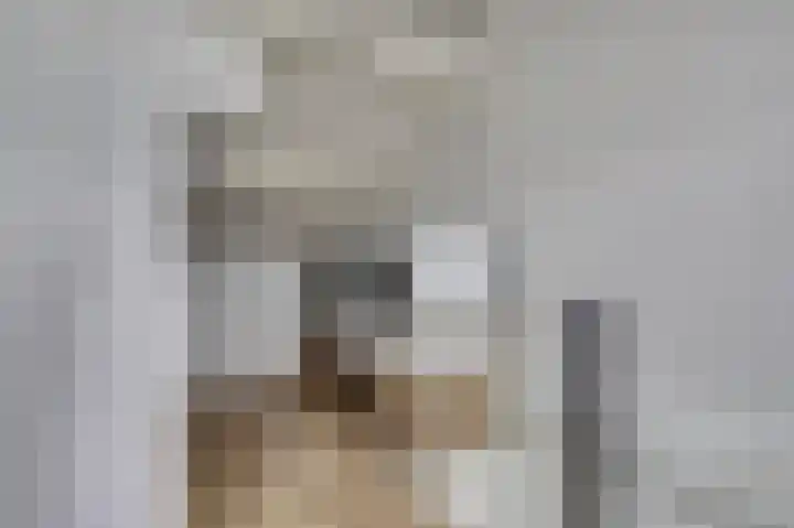 Wijnruitstraat 5 Wierden thumbnail 20