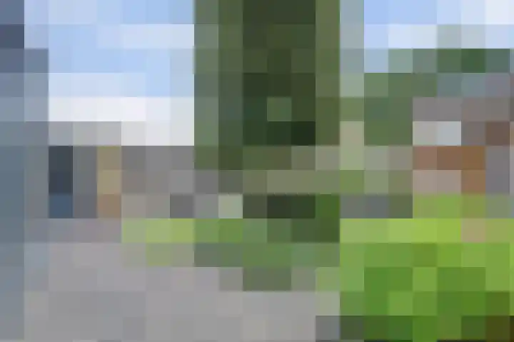 Wijnruitstraat 5 Wierden thumbnail 26