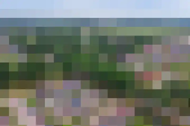 Wijnruitstraat 5 Wierden thumbnail 29