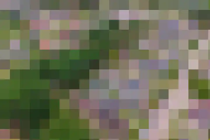 Wijnruitstraat 5 Wierden thumbnail 31