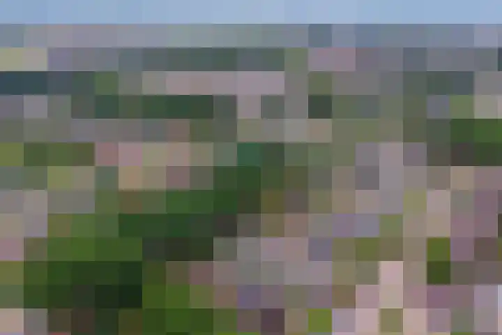 Wijnruitstraat 5 Wierden thumbnail 32