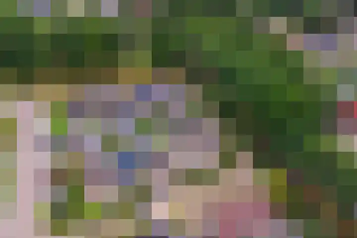 Wijnruitstraat 5 Wierden thumbnail 33