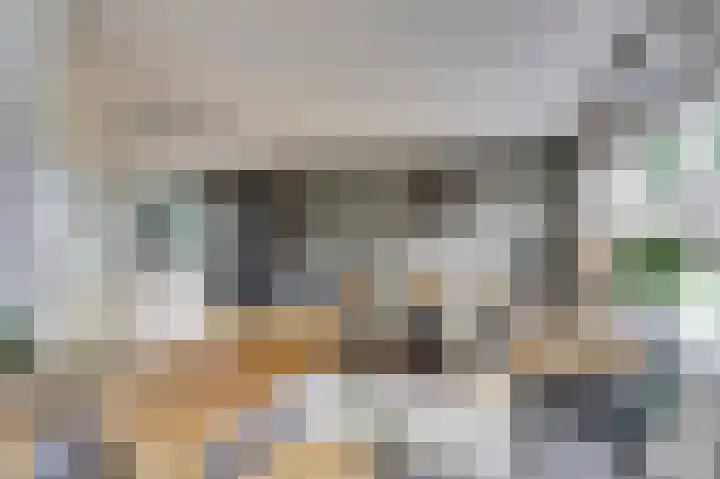 Wijnruitstraat 5 Wierden thumbnail 4