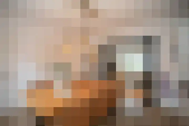 Wijnruitstraat 7 Wierden thumbnail 12