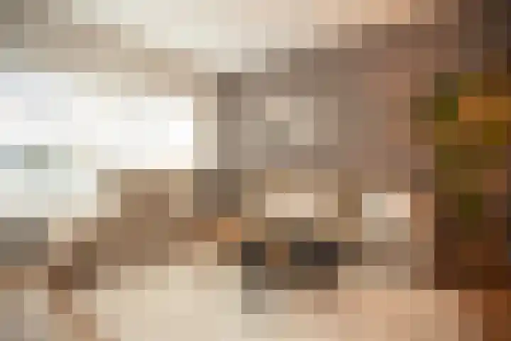 Wijnruitstraat 7 Wierden thumbnail 20
