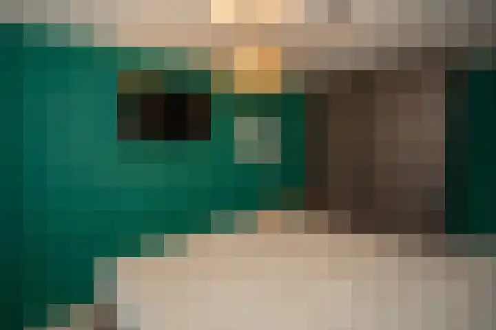 Wijnruitstraat 7 Wierden thumbnail 36