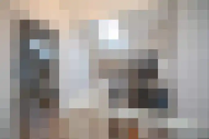 Wijnruitstraat 7 Wierden thumbnail 37