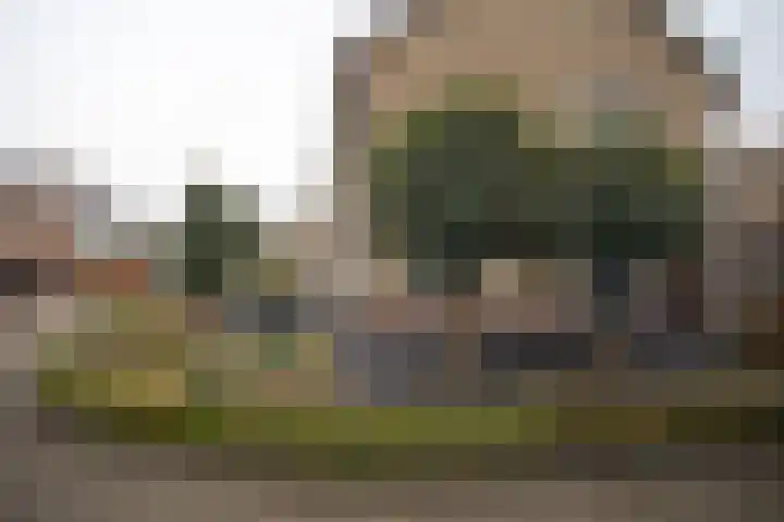 Wijnruitstraat 7 Wierden thumbnail 51