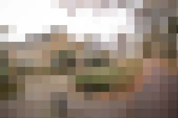 Wijnruitstraat 7 Wierden thumbnail 6