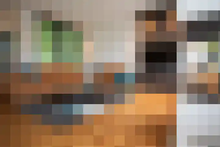 Wijnruitstraat 9 Wierden thumbnail 16