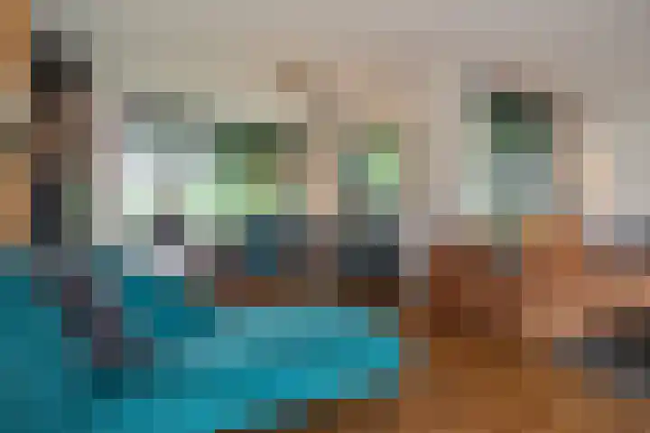 Wijnruitstraat 9 Wierden thumbnail 22