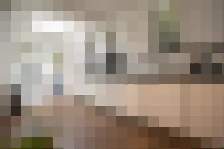 Wijnruitstraat 9 Wierden thumbnail 24