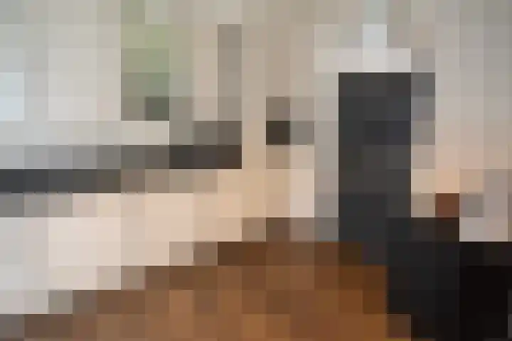 Wijnruitstraat 9 Wierden thumbnail 25