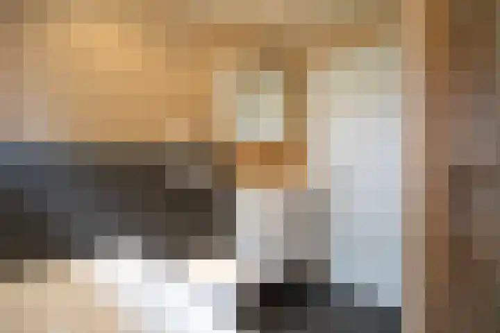 Wijnruitstraat 9 Wierden thumbnail 36