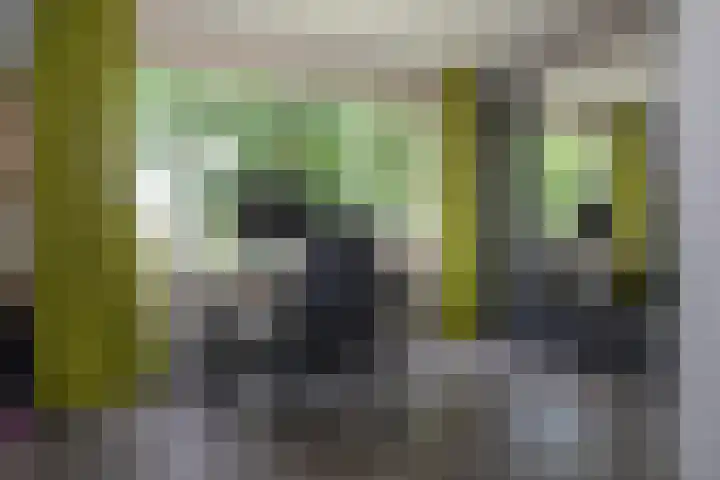 Wijnruitstraat 9 Wierden thumbnail 42