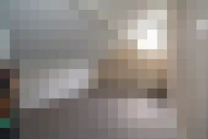 Wijnruitstraat 9 Wierden thumbnail 48