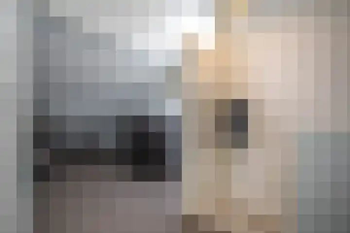 Wijnruitstraat 9 Wierden thumbnail 50
