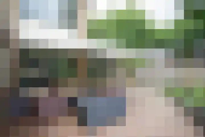 Wijnruitstraat 9 Wierden thumbnail 55