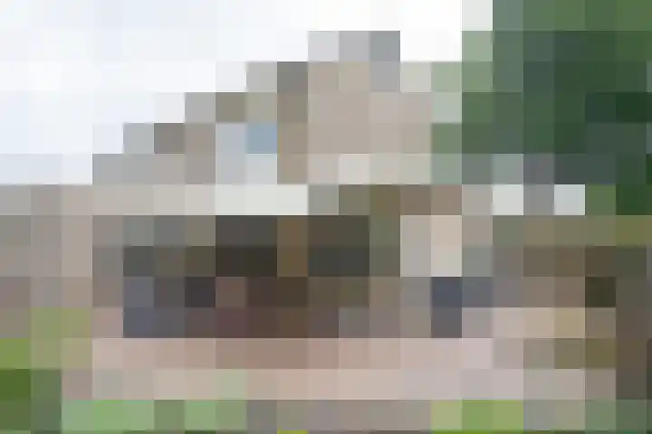 Wijnruitstraat 9 Wierden thumbnail 56