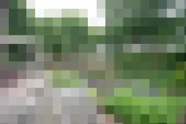 Wijnruitstraat 9 Wierden thumbnail 57