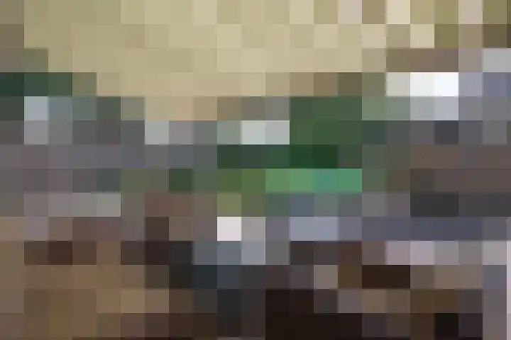 Wijnruitstraat 9 Wierden thumbnail 58