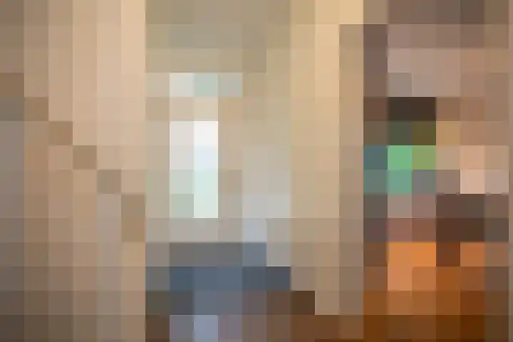 Wijnruitstraat 9 Wierden thumbnail 9