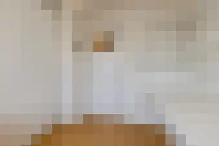 Wijnsel 34 Geldrop thumbnail 22
