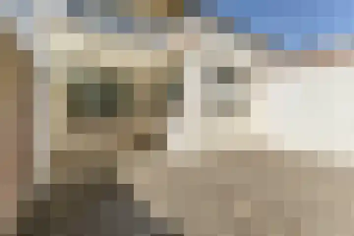 Wijnsel 34 Geldrop thumbnail 31