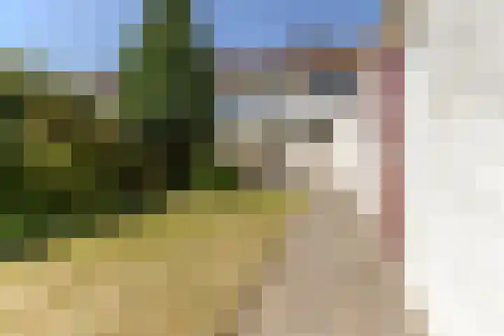 Wijnsel 34 Geldrop thumbnail 32