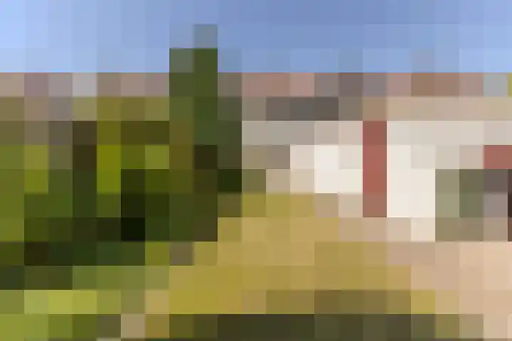 Wijnsel 34 Geldrop thumbnail 33
