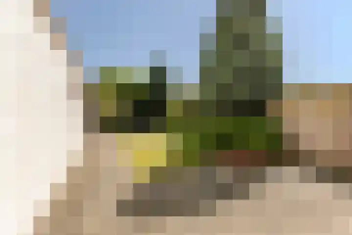 Wijnsel 34 Geldrop thumbnail 35