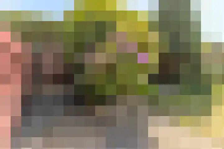 Wijnsel 34 Geldrop thumbnail 36