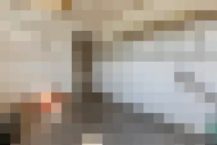 Wijnsel 34 Geldrop thumbnail 37