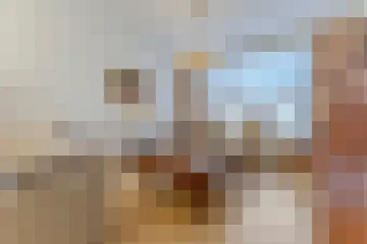Wijnsel 34 Geldrop thumbnail 6