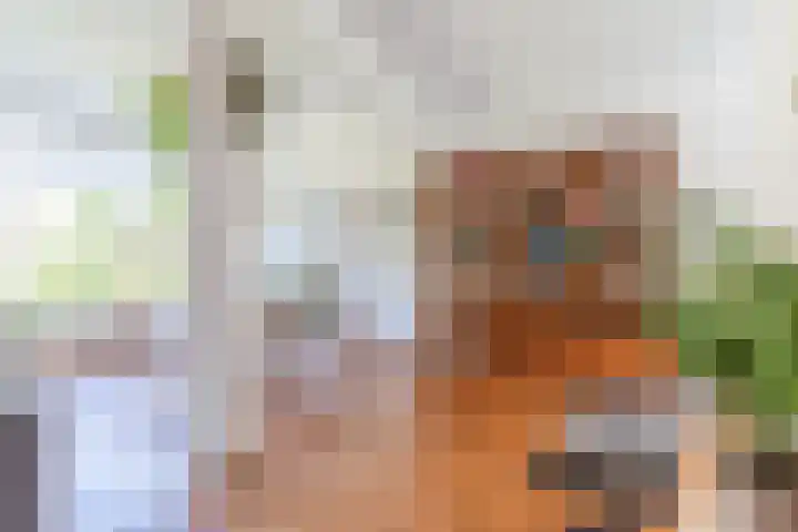 Wijnsel 35 Geldrop thumbnail 12