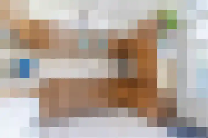 Wijnsel 35 Geldrop thumbnail 15