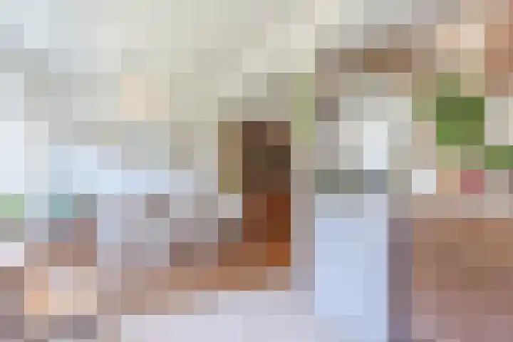 Wijnsel 35 Geldrop thumbnail 16