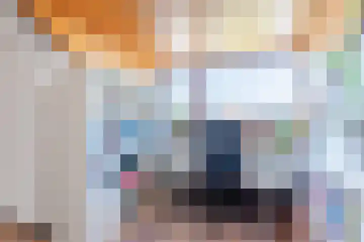Wijnsel 35 Geldrop thumbnail 34