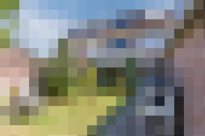 Wijnsel 35 Geldrop thumbnail 36