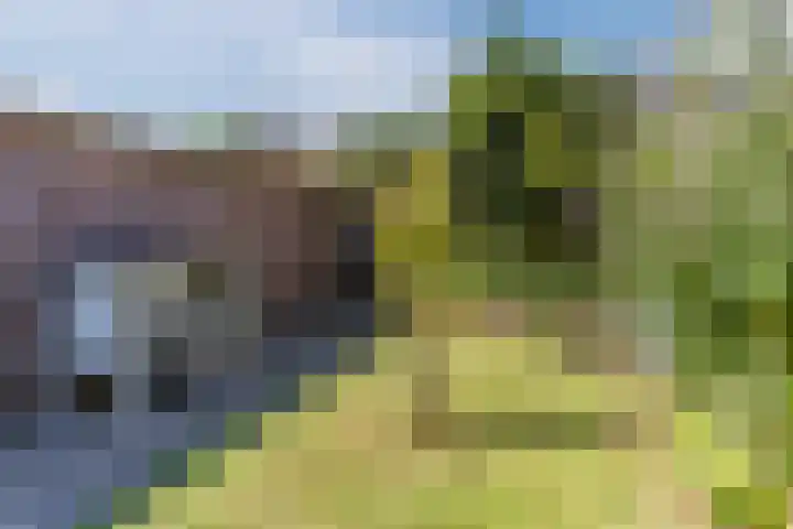 Wijnsel 35 Geldrop thumbnail 38