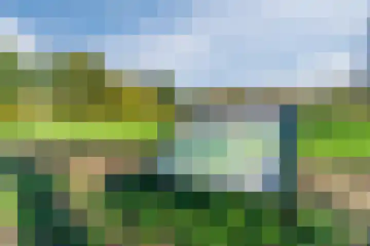 Wijnsel 35 Geldrop thumbnail 45