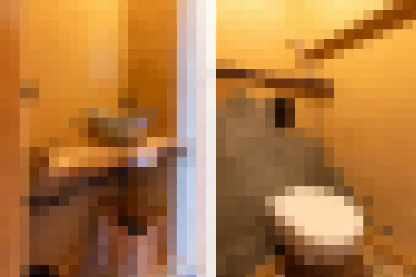 Wijnstraat 25 Simpelveld thumbnail 13