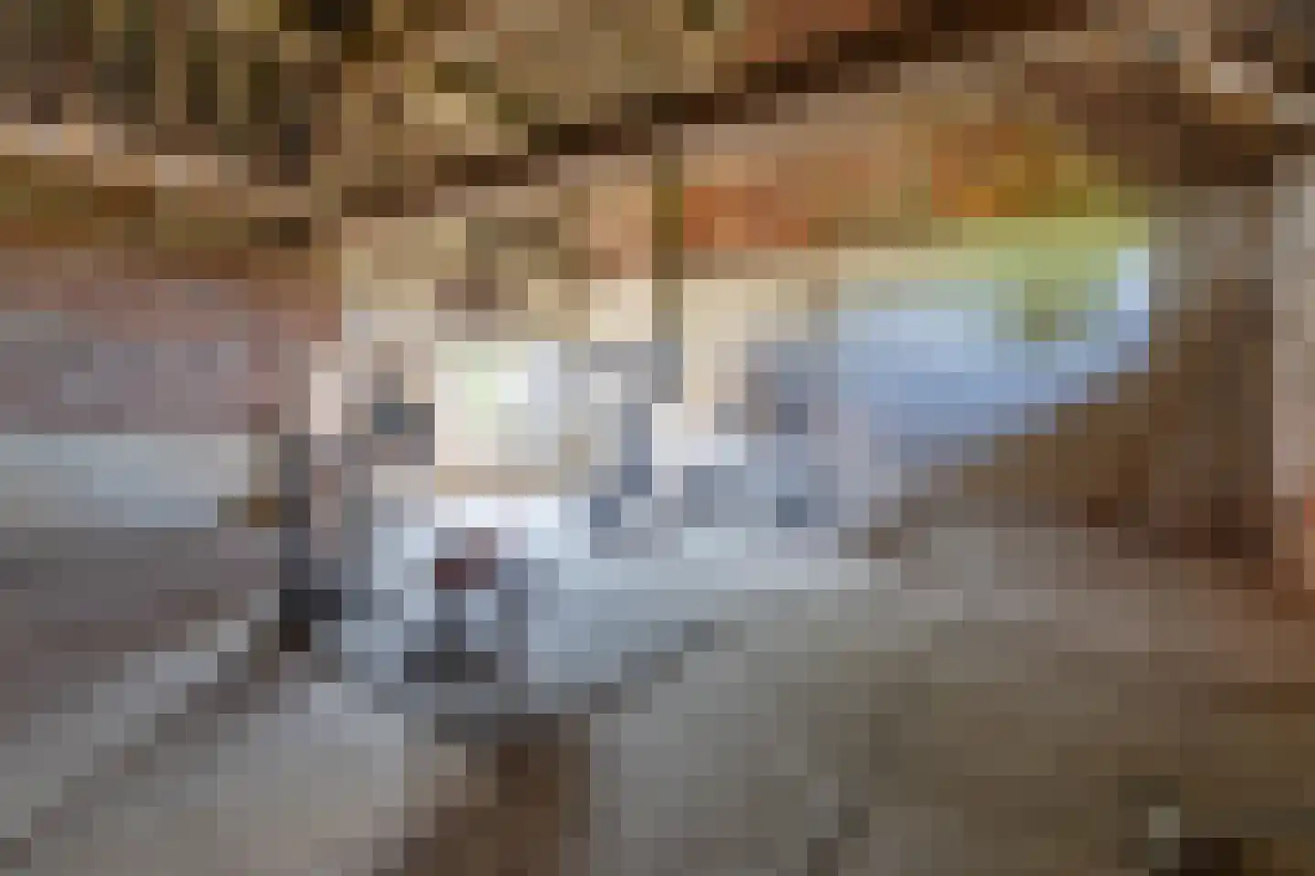 Wijnstraat 25 Simpelveld thumbnail 42