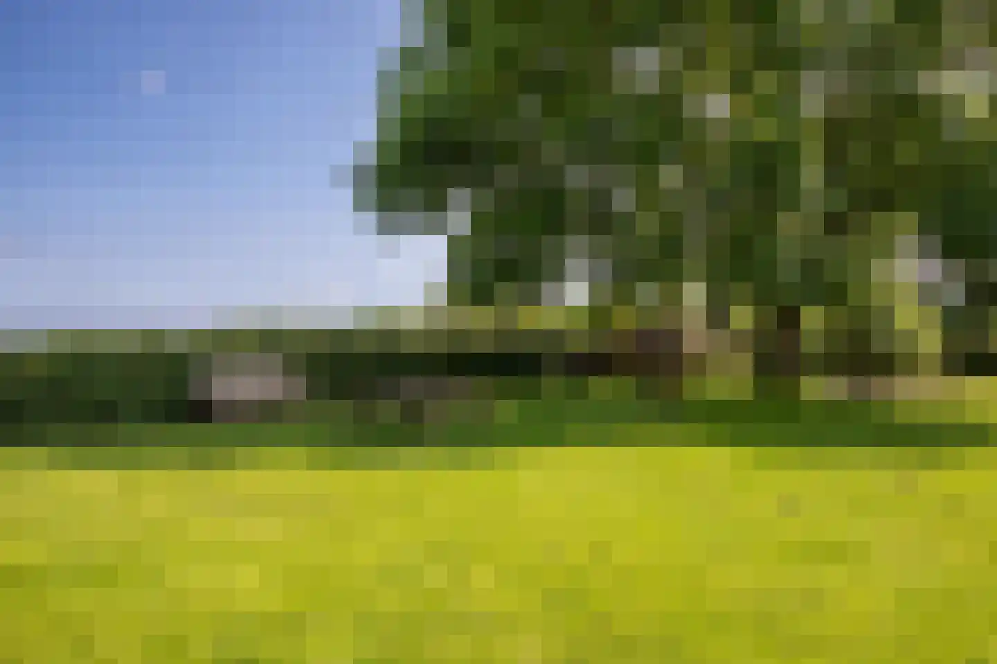 Wijnstraat 25 Simpelveld thumbnail 47