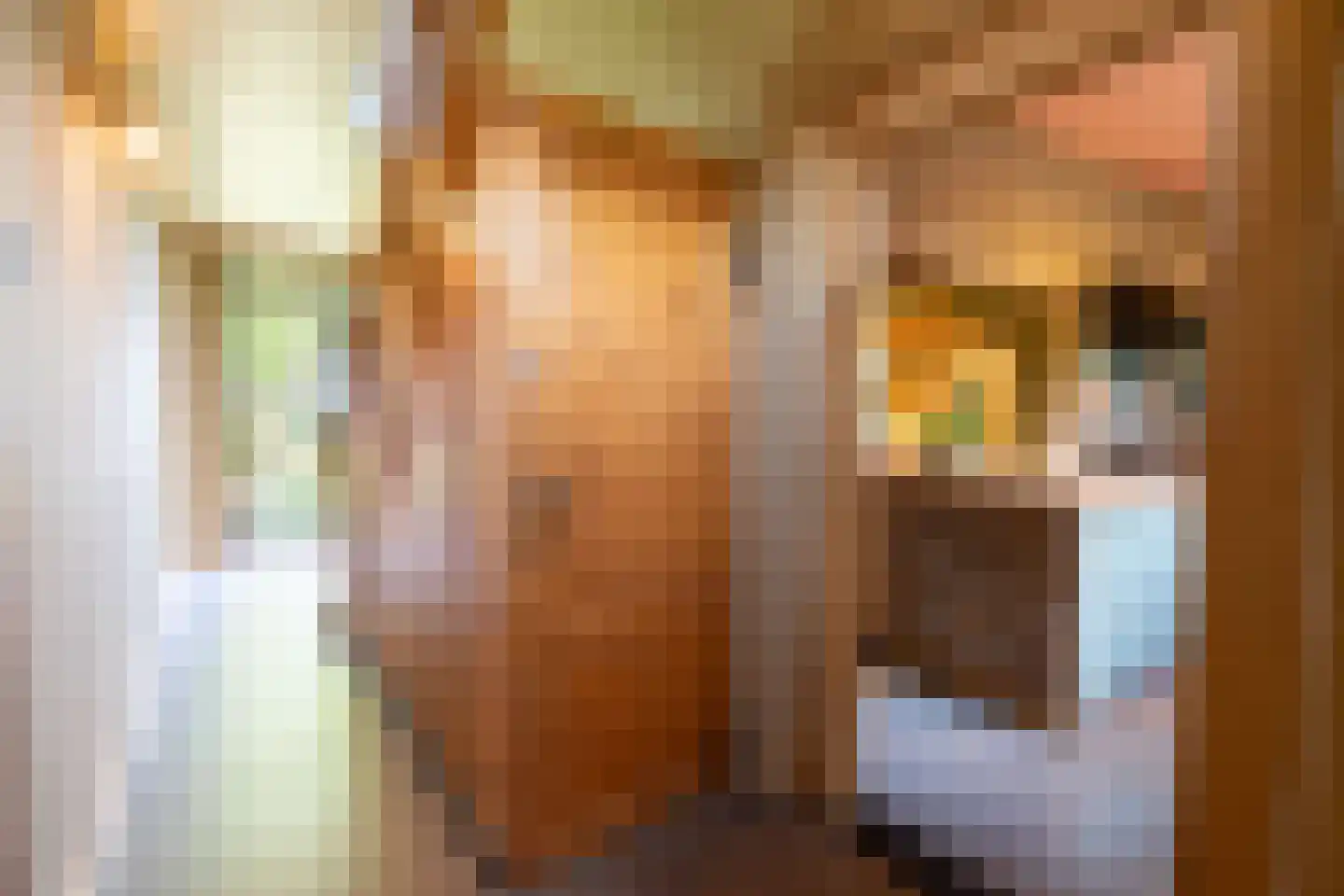 Wijnstraat 25 Simpelveld thumbnail 5