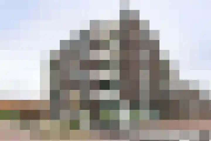 Wijnstraat 65 Echt