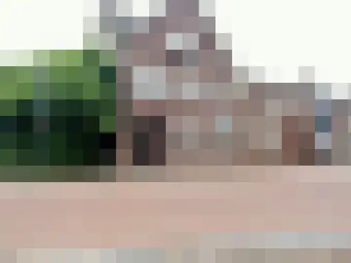 Wijnstraat 68 Echt